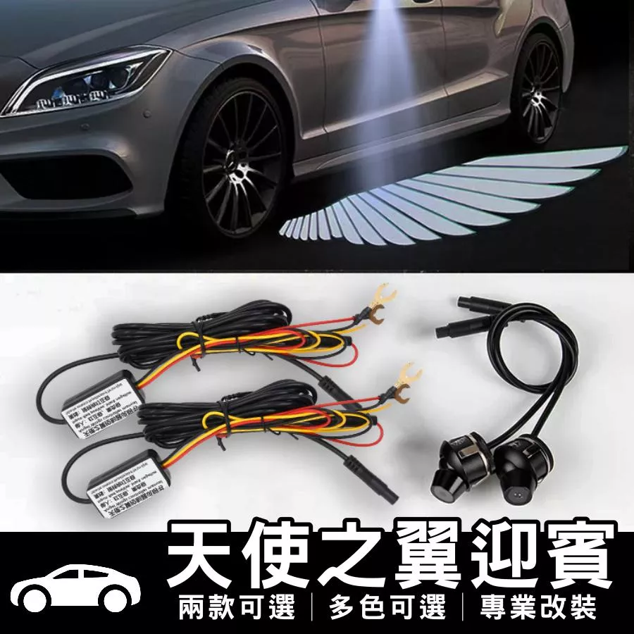 天使之翼迎賓燈光毯│安裝款【VR030695】