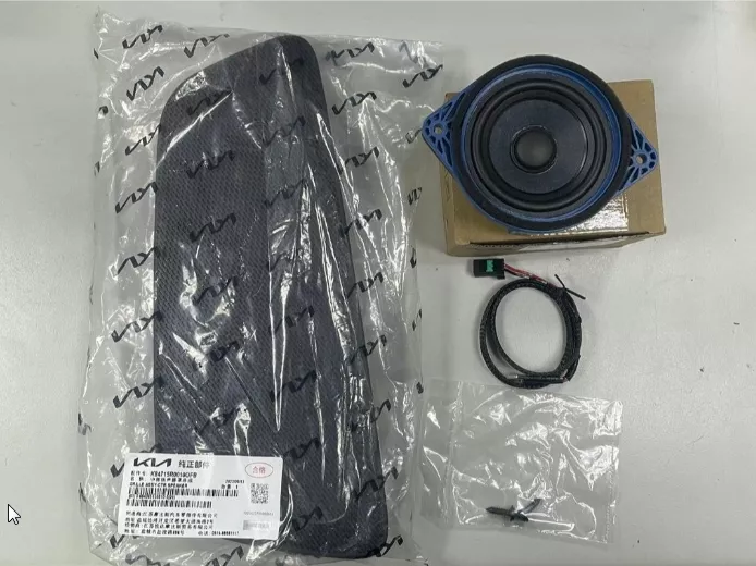 Kia Carnival KA4 全車喇叭優化