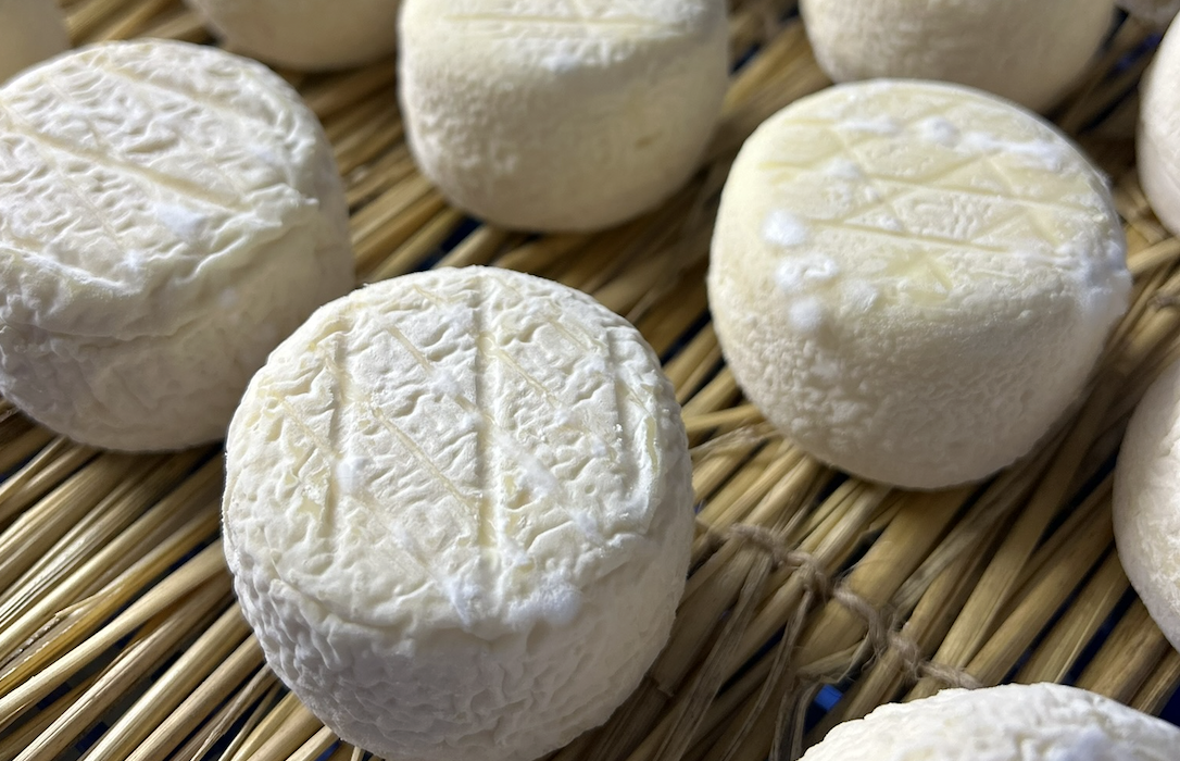 Hey! Cheese!〈 從一塊乳酪開始的旅程 〉