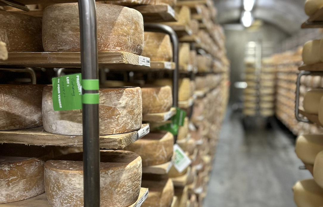 Hey! Cheese!〈 我的乳酪進修之旅札記 4 〉