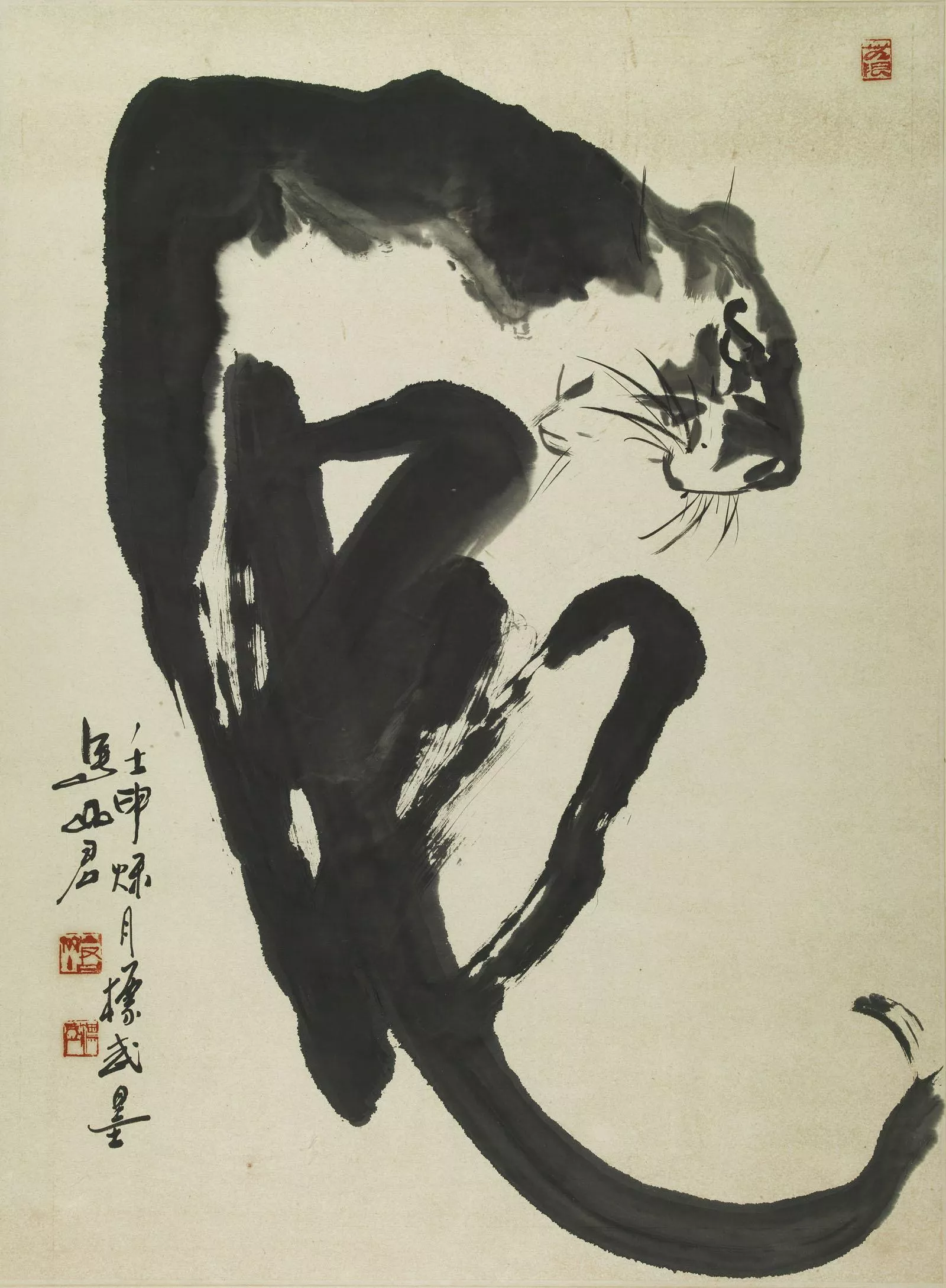馬山君 虎虎生風 馬山君 虎虎生風