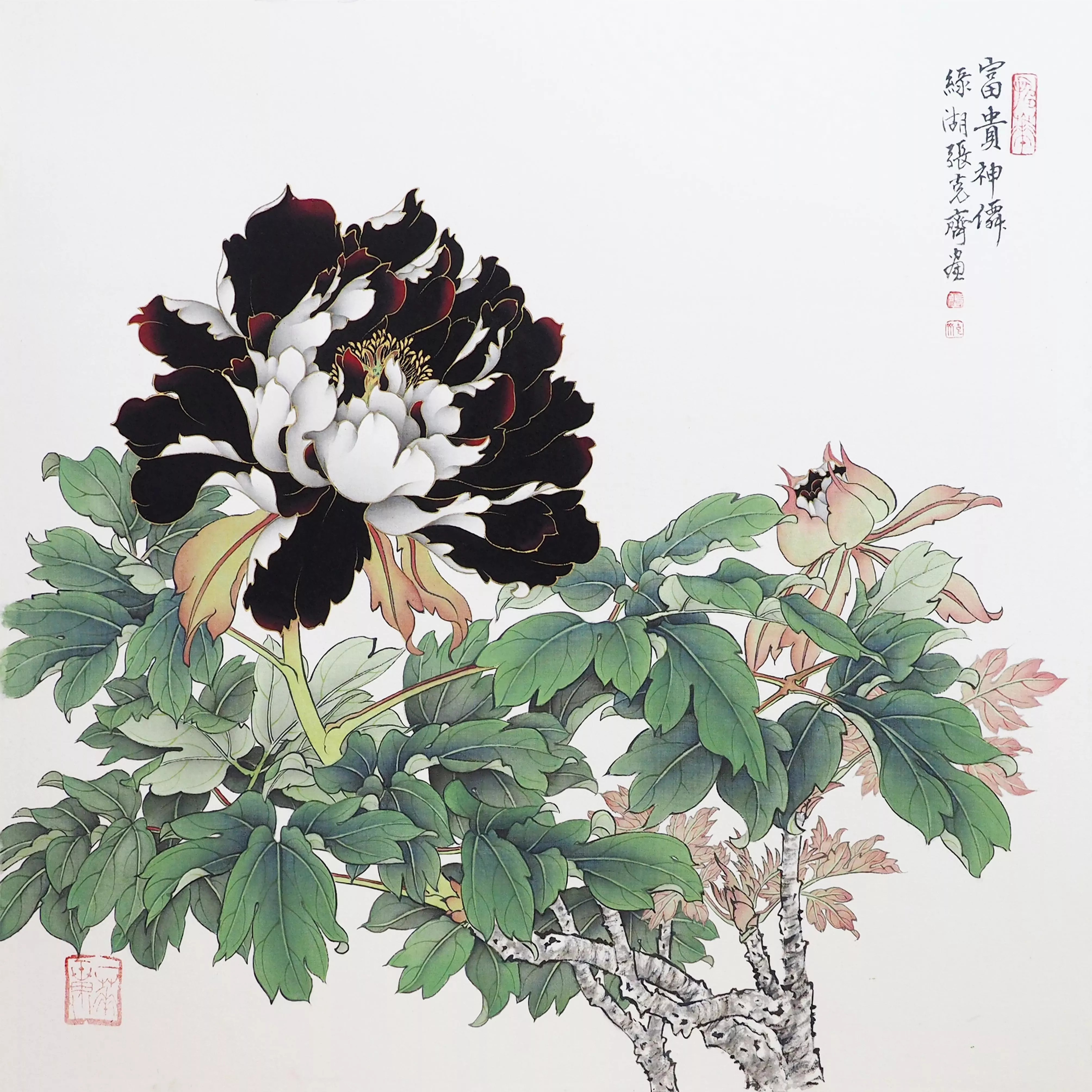 張克齊 富貴神仙 張克齊 富貴神仙