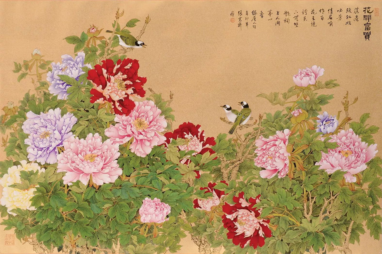張克齊 花開富貴 張克齊 花開富貴