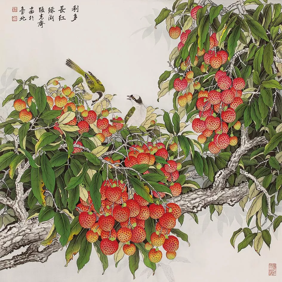張克齊 利多長紅 張克齊 利多長紅