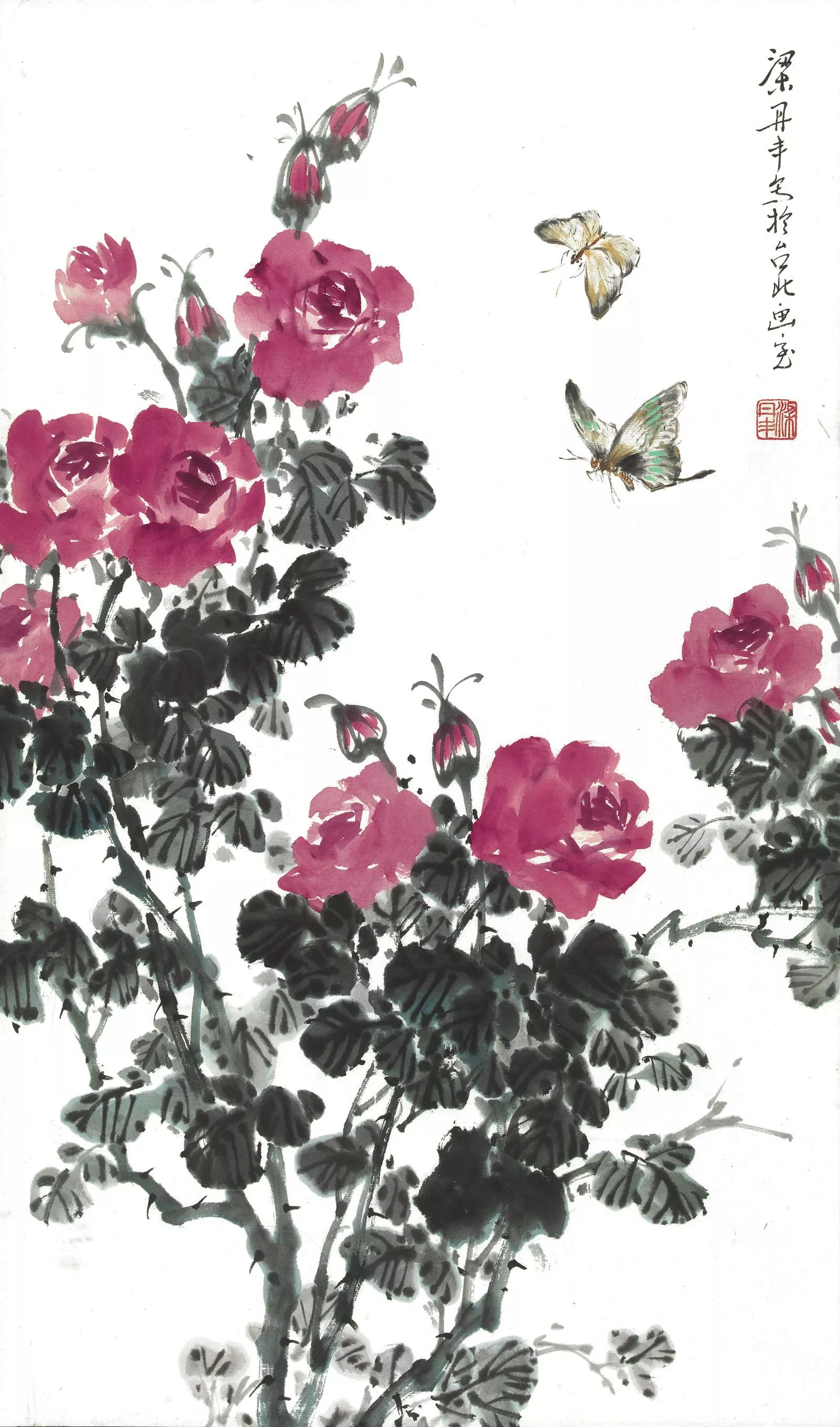 梁丹丰 玫瑰蝴蝶 梁丹丰 玫瑰蝴蝶