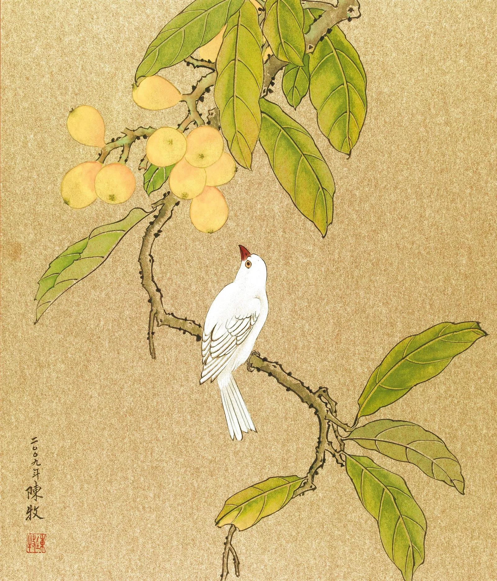 陳牧 枇杷白鵲 陳牧 枇杷白鵲