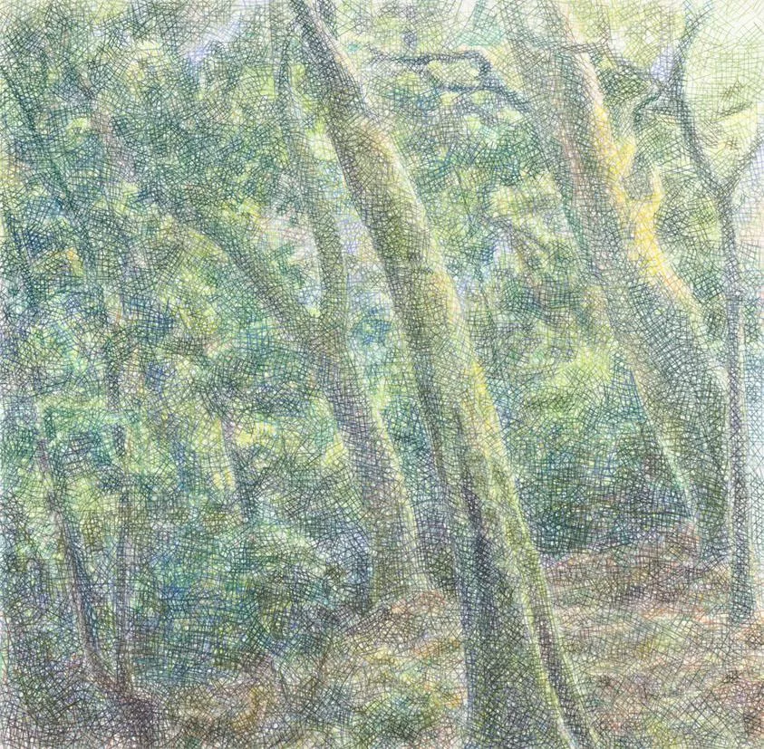 鄭君殿 山林 紗帽山 鄭君殿 山林 紗帽山