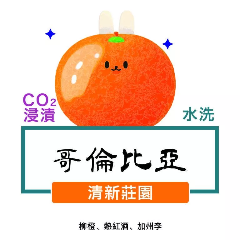 哥倫比亞 金迪奧省 清新莊園 柑橘風味