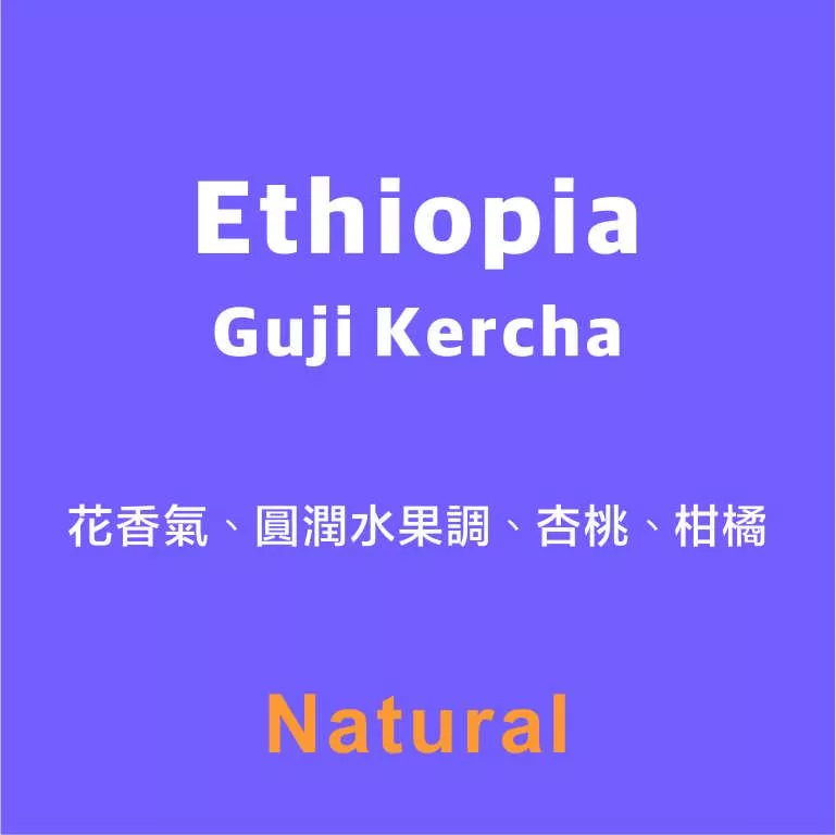 衣索比亞 谷吉 莓果花園 日曬