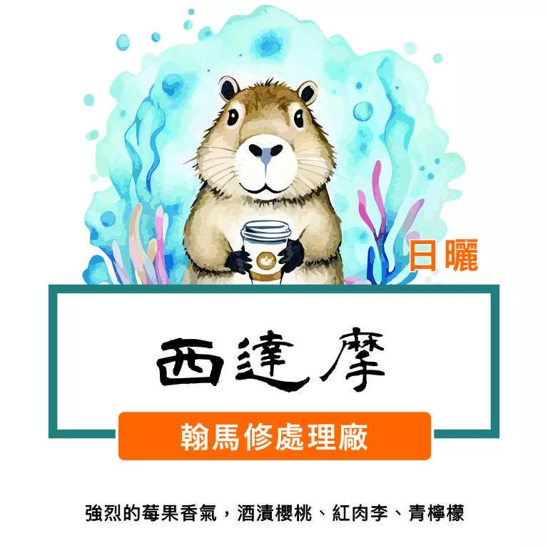 衣索比亞 班莎鎮 翰馬修村 珍珠小圓豆 日曬 G1