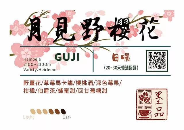 衣索比亞 古吉 月見野櫻花 日曬