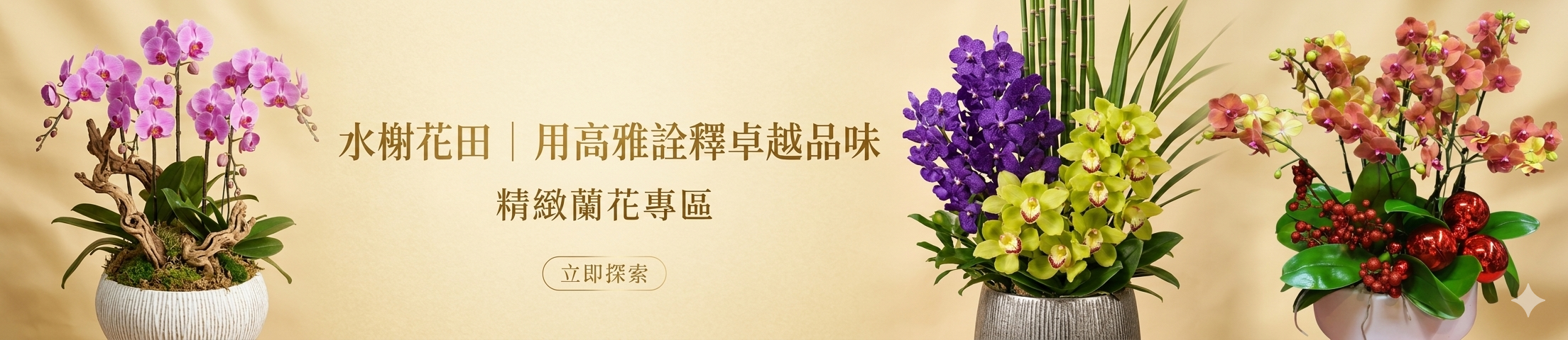 水榭花田-大台北專車外送精選高階商務祝賀與居家擺設精品蝴蝶蘭
