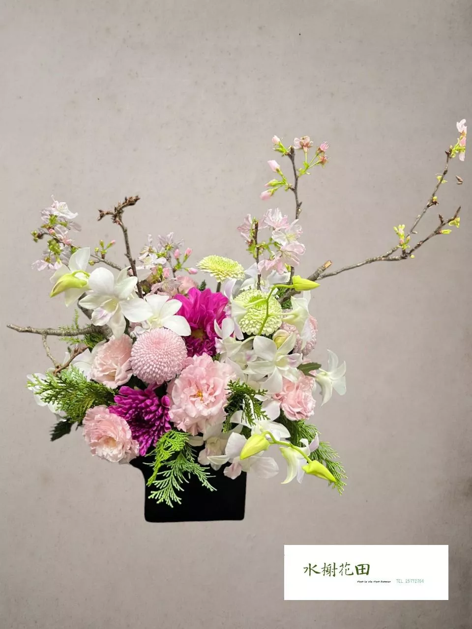 春日微語-盆花花禮