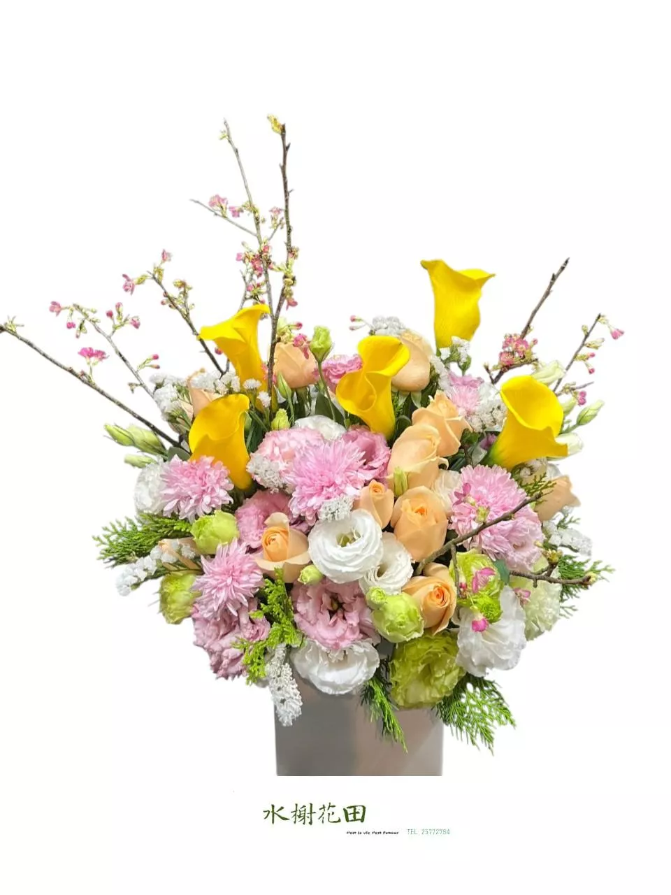 春光暖語-盆花花禮