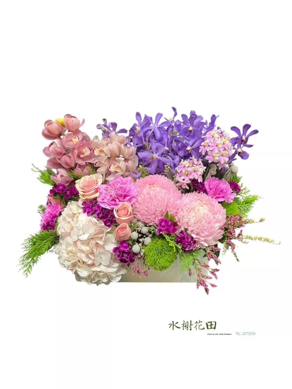 祝壽感恩｜藍紫萬代蘭．粉色牡丹菊