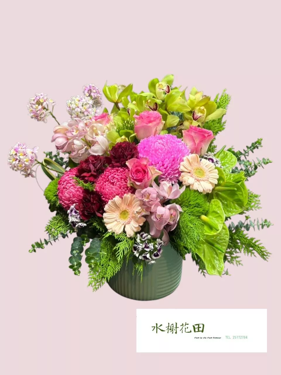 靜雅花語-盆花花禮