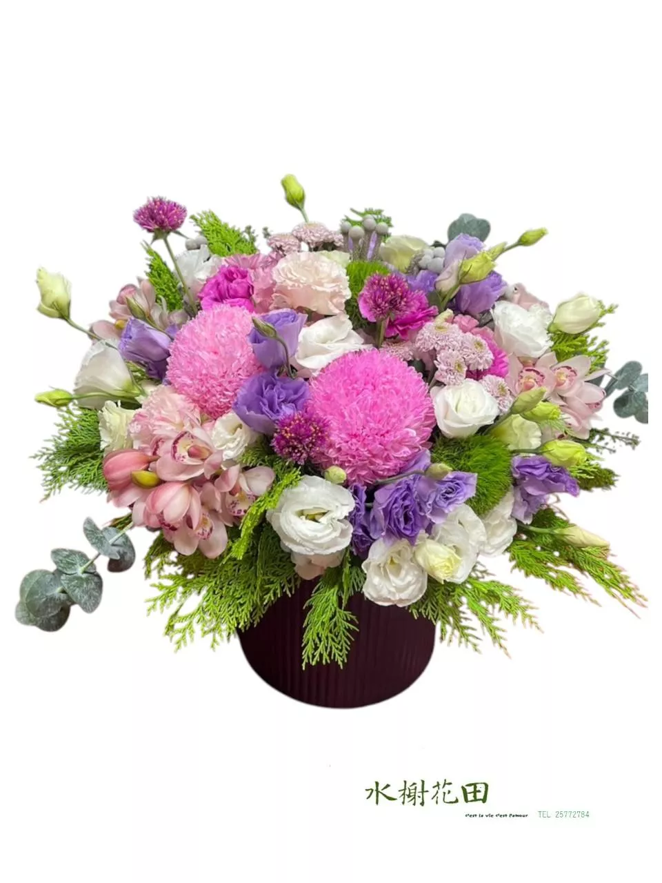 蝶夢花簾-盆花花禮