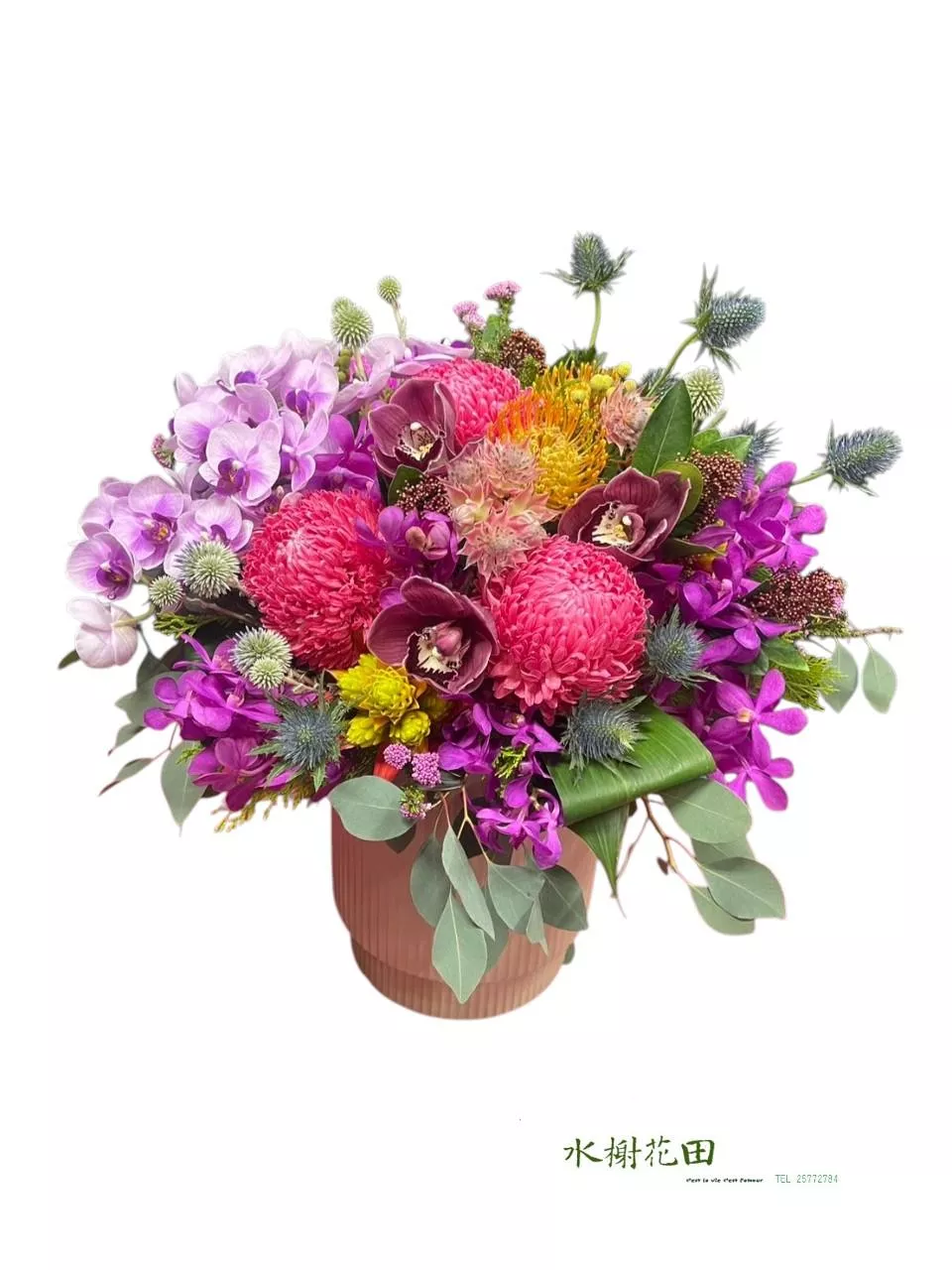 蝶舞花庭-盆花花禮