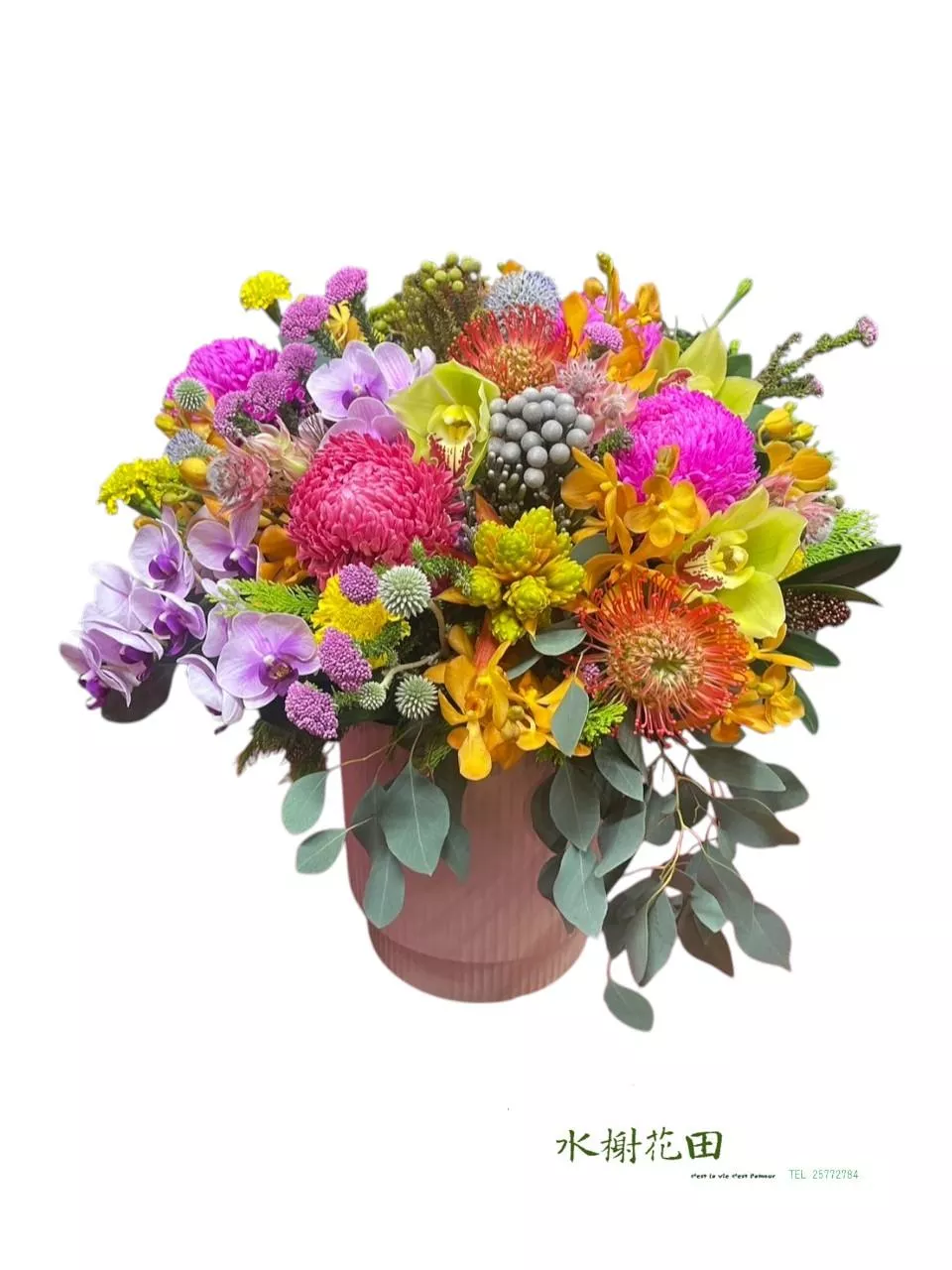 綻放的序章-盆花花禮