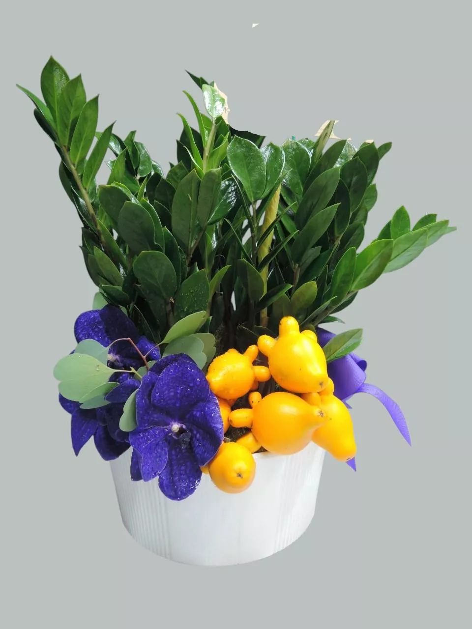 財運節節高-盆栽花禮