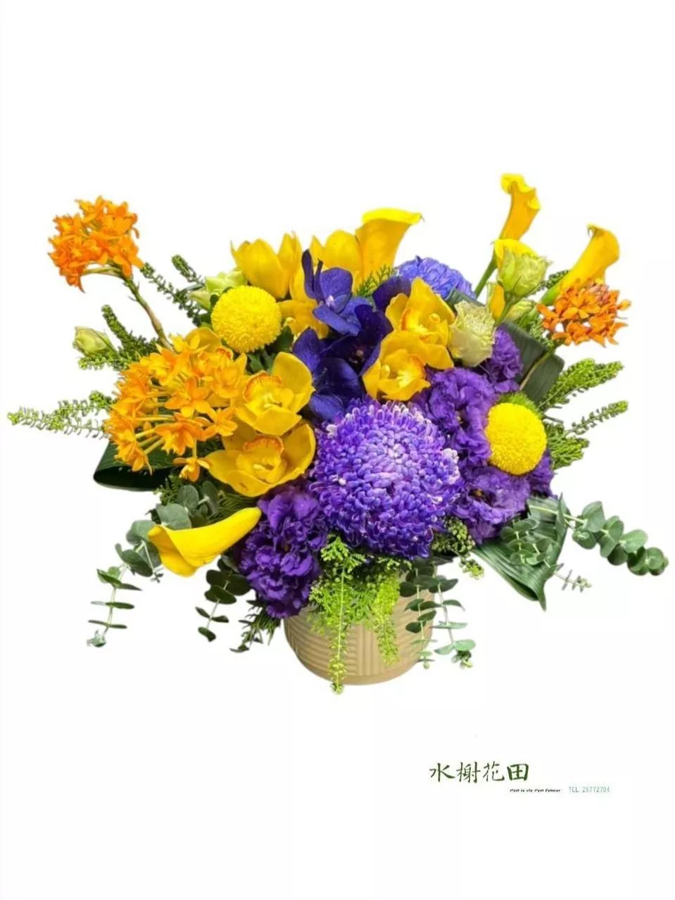 商務開幕｜金黃海芋．神祕紫牡丹菊