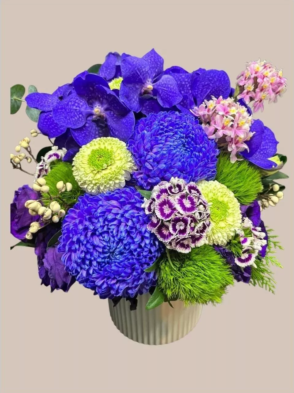 特殊花禮《藍調極光》