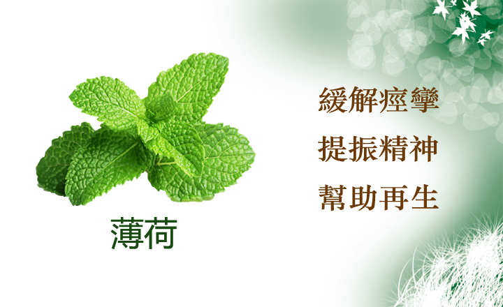 聞得到的保養 - 薄荷