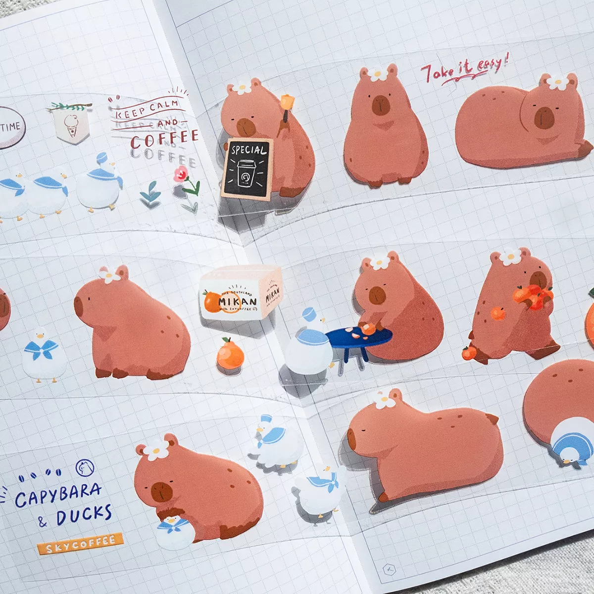 Capybara & Ducks 水豚店長與鴨鴨們 亮面PET膠帶