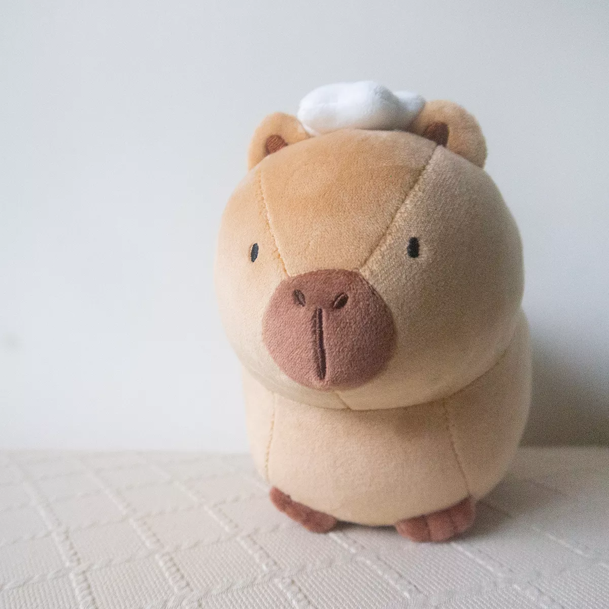 I am Capybara from SKYCOFFEE 水豚店長娃娃