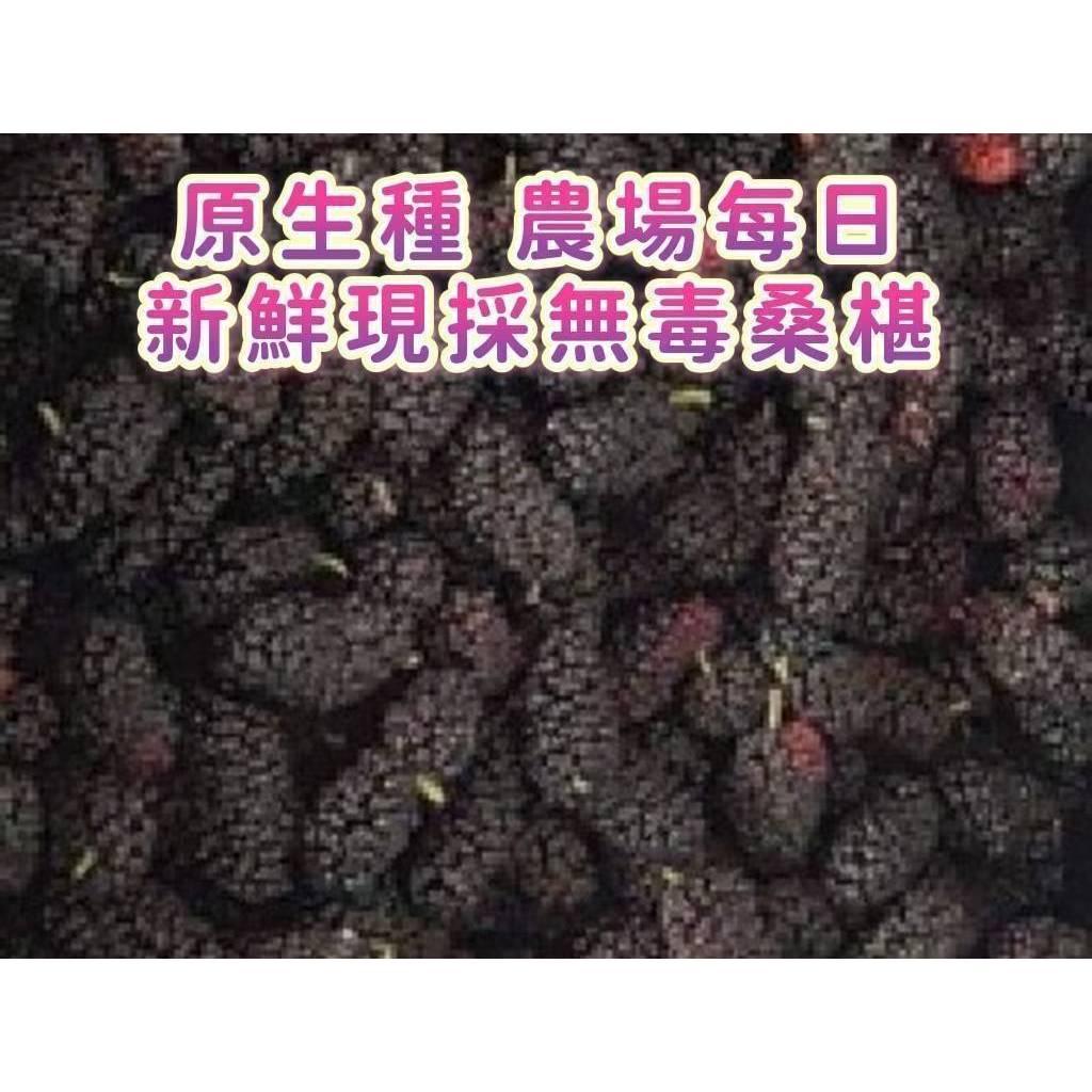 (實體商店附發票)農友品質 無毒農藥檢測 桑椹汁 1150ml SGS認證