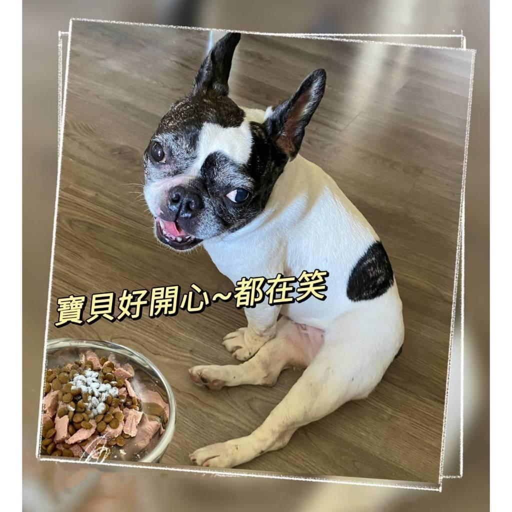 (實體門市 附發票)愛寵科目三 毛孩 腸胃 益生菌 貓 狗 寵物 零食 營養 補充 維拉命