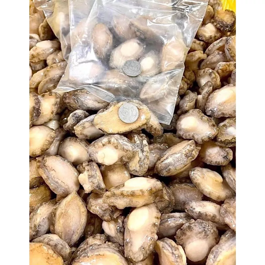 (實體門市 附發票)直殺魚場價格 鮑魚 清肉 台灣haccp認證