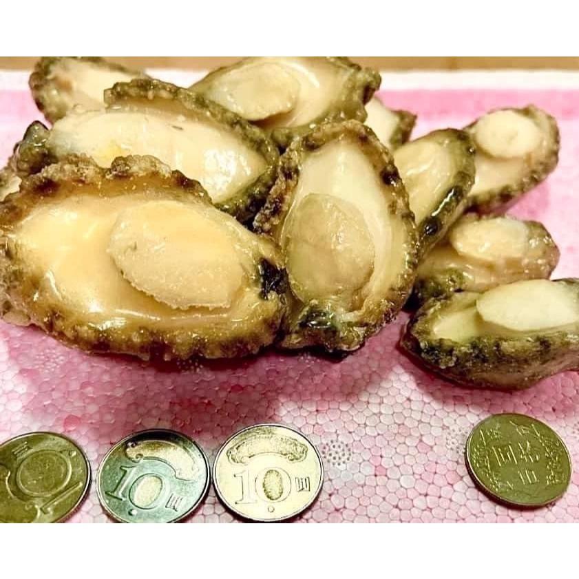 (實體門市 附發票)直殺魚場價格 鮑魚 清肉 台灣haccp認證