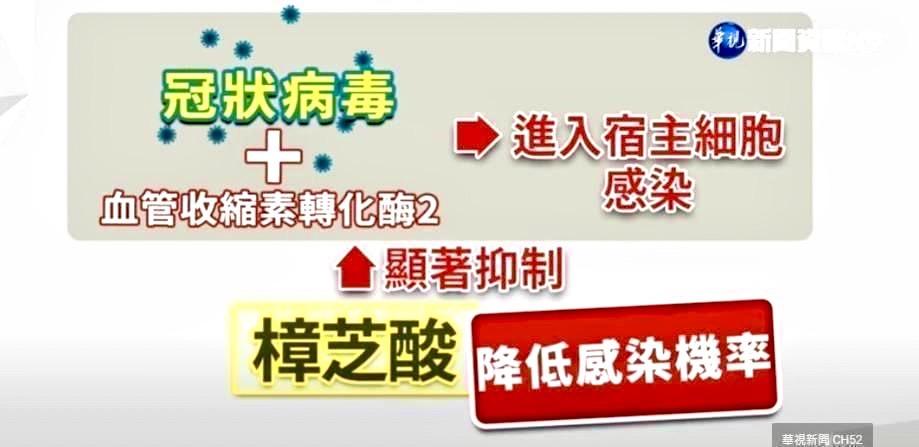 牛樟芝+天然B群膠囊