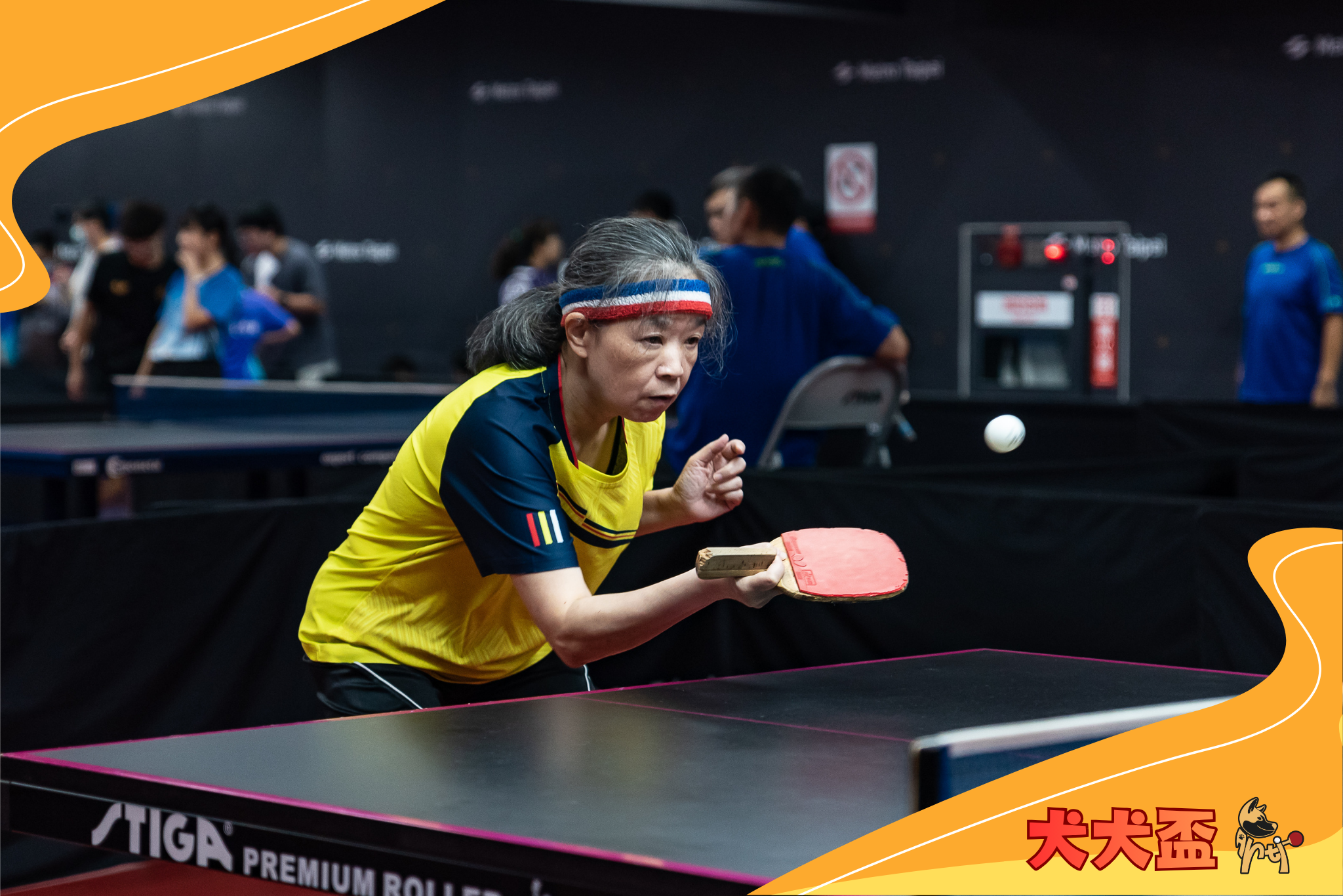 犬犬盃桌球團體聯賽參賽人員6