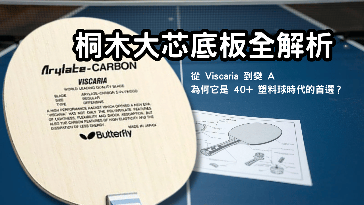 桐木大芯底板全解析：從 Viscaria 到樊 A，為何它是 40+ 塑料球時代的首選？