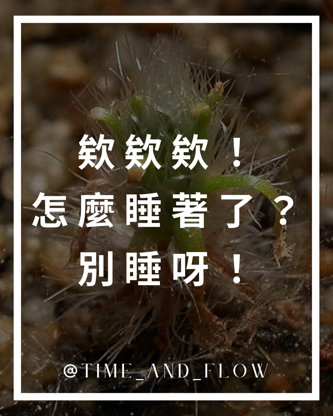 欸欸欸！怎麼睡著了？別睡啊！