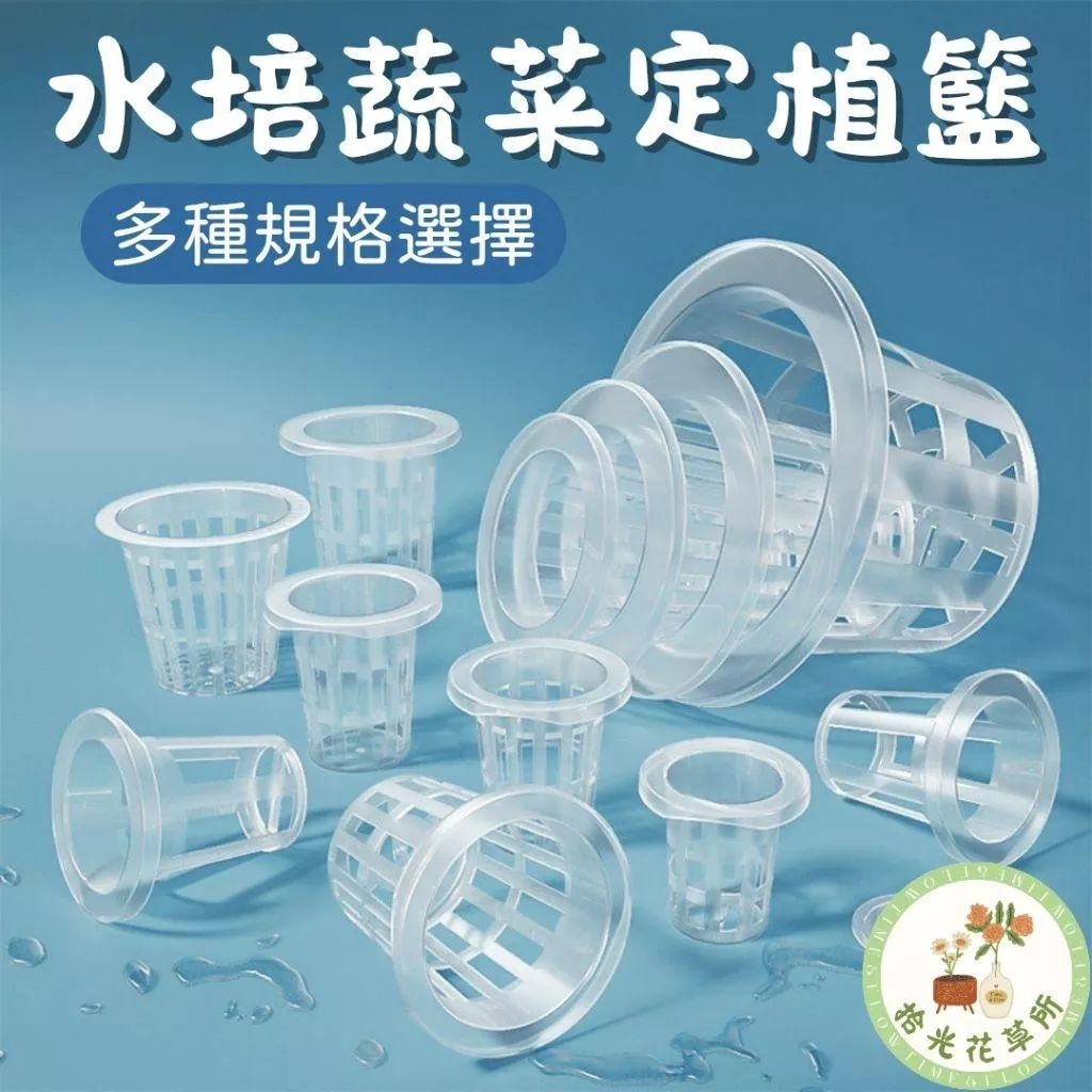 水培定植籃