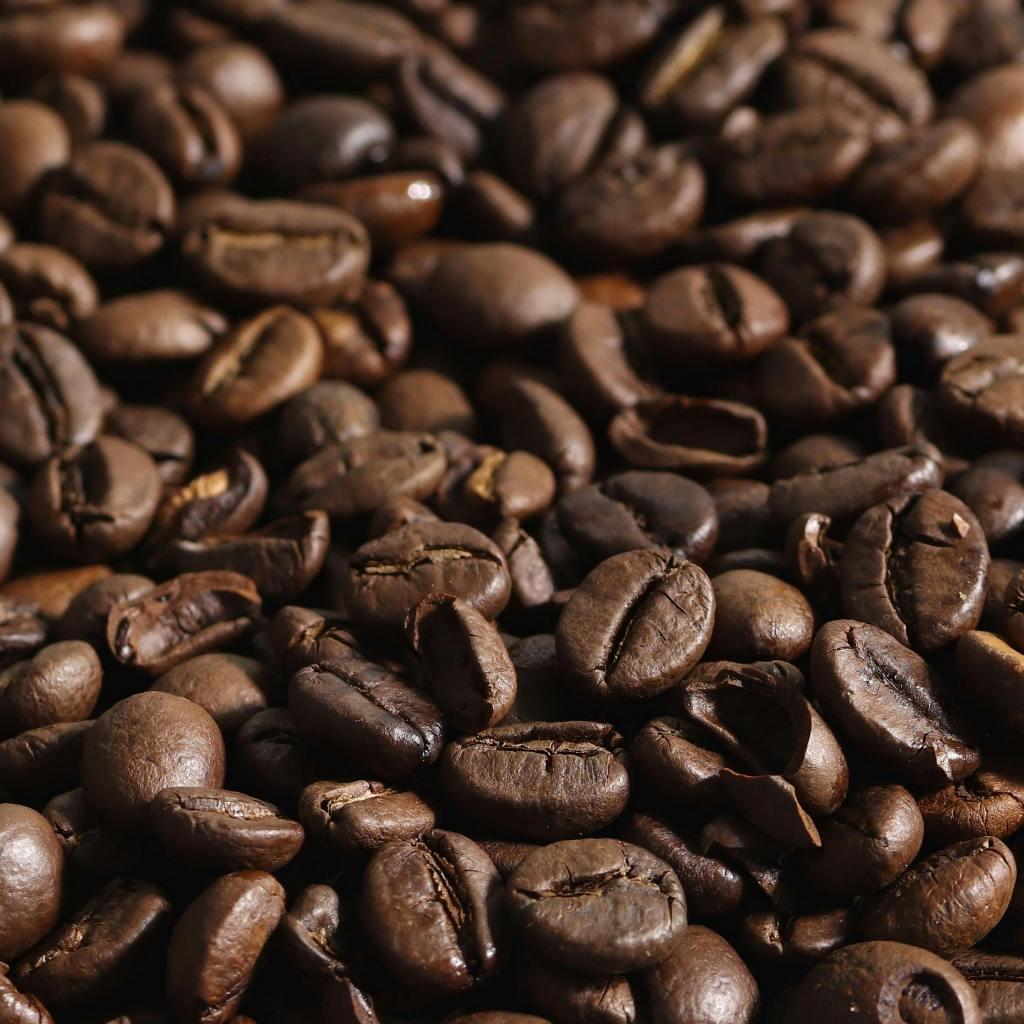 🦋咖啡豆 精品咖啡豆 哥倫比亞 竹林莊園 JAVA 水洗 淺中焙 手沖咖啡 單品咖啡🦋