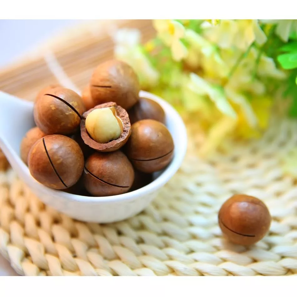 烘焙帶殼夏威夷豆 年度新到貨 600克 薄鹽調味 翠園食品