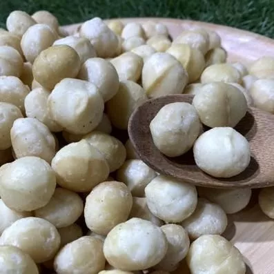 🇦🇺澳洲夏威夷豆(生) 600克 整顆粒(Style 1 )&剖半大顆粒(4L) 原裝原箱進口 年度新貨