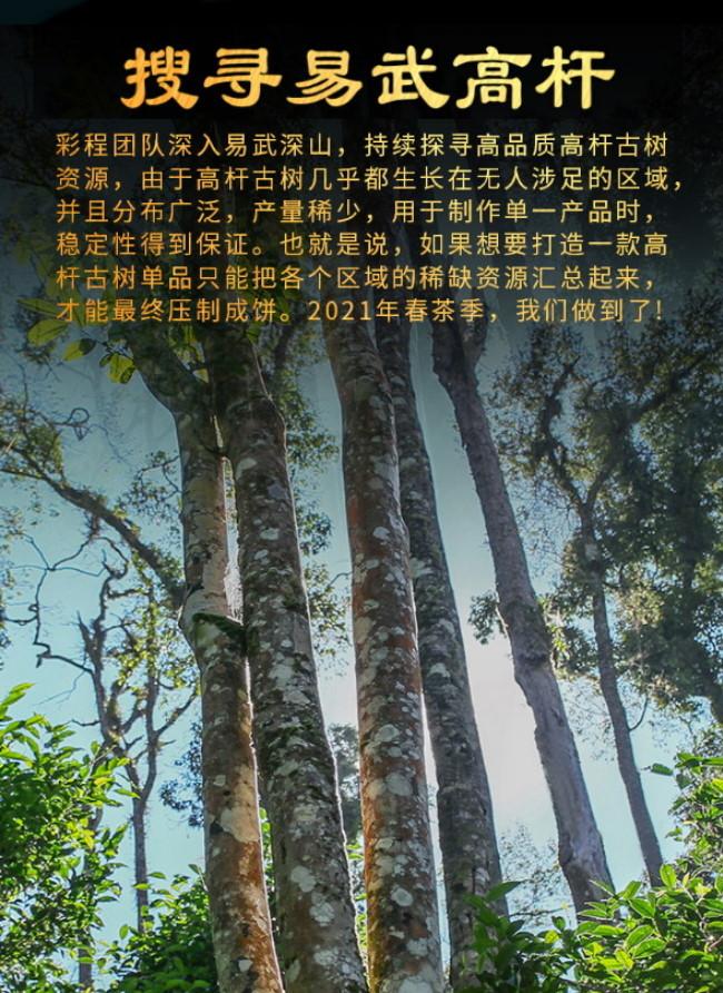 普洱茶生茶 [彩程] 2021 手寫書法版 易武薄荷塘高杆古樹茶 200克 生餅