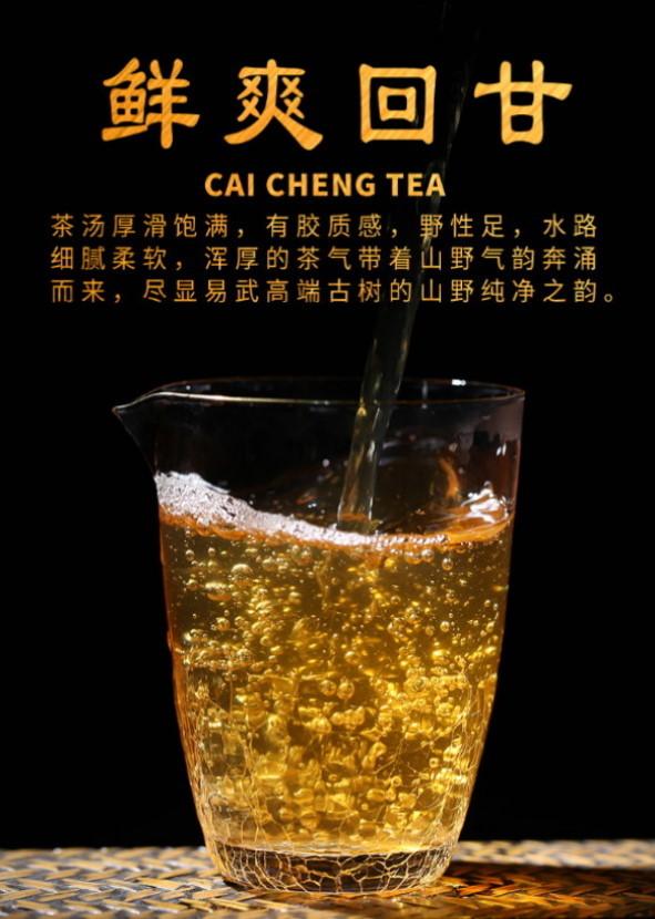 普洱茶生茶 [彩程] 2023 手寫書法版 易武蟒蛇箐單株古樹茶 500克 生磚