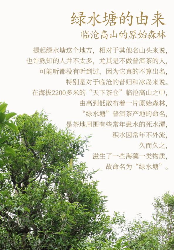普洱茶生茶 [彩程] 2019年 手寫書法珍藏版 綠水塘古樹茶 357克 生餅