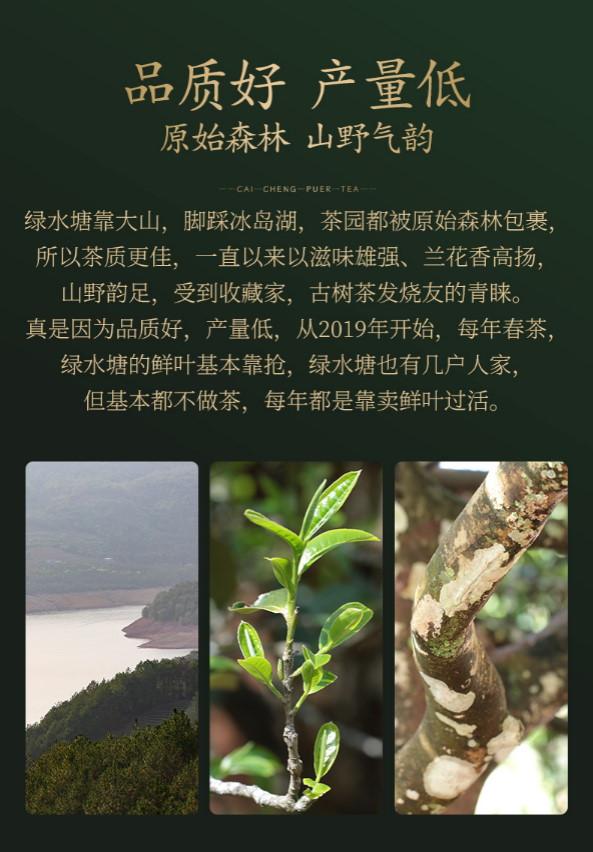 普洱茶生茶 [彩程] 2019年 手寫書法珍藏版 綠水塘古樹茶 357克 生餅
