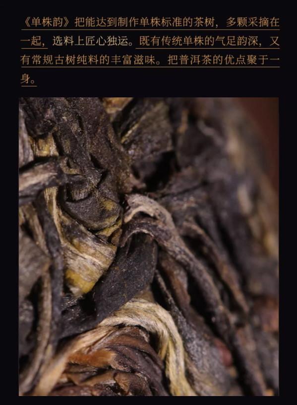 普洱茶生茶 [彩程] 2022 龍昔-昔歸單株頭春古樹茶 200克 生餅