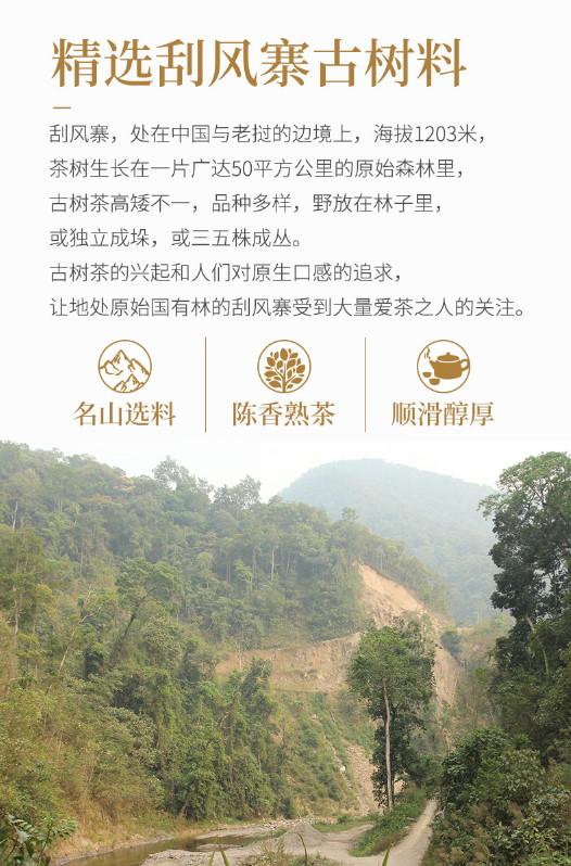 普洱茶熟茶 [彩程] 2009年 刮風王 古樹熟茶 357克 熟餅