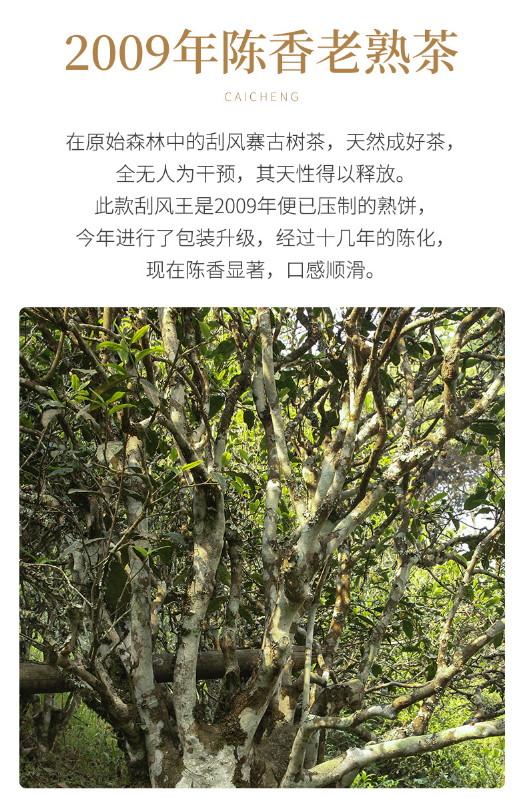 普洱茶熟茶 [彩程] 2009年 刮風王 古樹熟茶 357克 熟餅