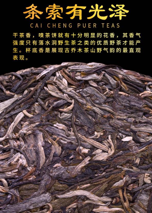 普洱茶生茶 [彩程] 2022 易武 落水洞古樹茶 200g 生餅