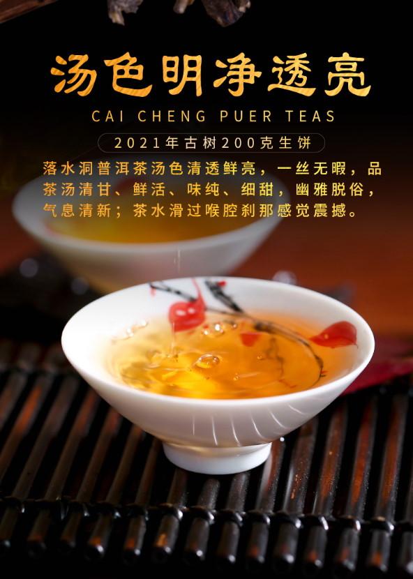 普洱茶生茶 [彩程] 2022 易武 落水洞古樹茶 200g 生餅